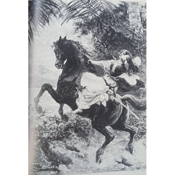 Garibaldi, ti amerò. l’eroe dei due mondi nell’immaginario femminile Garibaldi, ti amerò. l’eroe dei due mondi nell’immaginario femminile