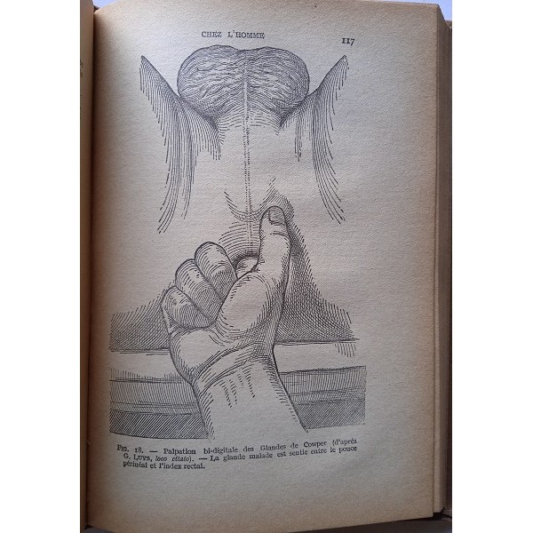 Maladies Blennorrhagiques des voies genito-urinaires Maladies Blennorrhagiques des voies genito-urinaires