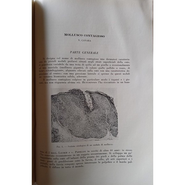 Le manifestazioni oculari delle malattie da virus e da rickettsie Le manifestazioni oculari delle malattie da virus e da rickettsie
