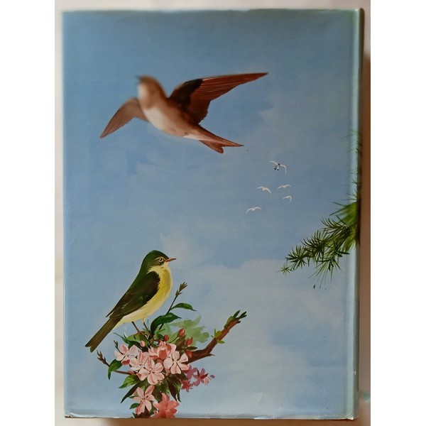 Gli uccelli d’Italia. Gli uccelli d’Italia.