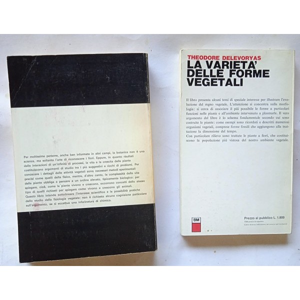 La vita e la crescita delle piante La vita e la crescita delle piante