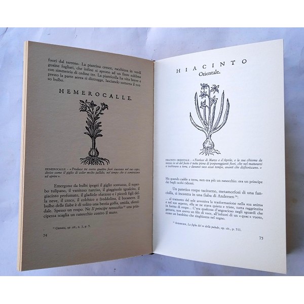 Fiabe dei fiori. Misteri e indovinelli botanici. Fiabe dei fiori. Misteri e indovinelli botanici.