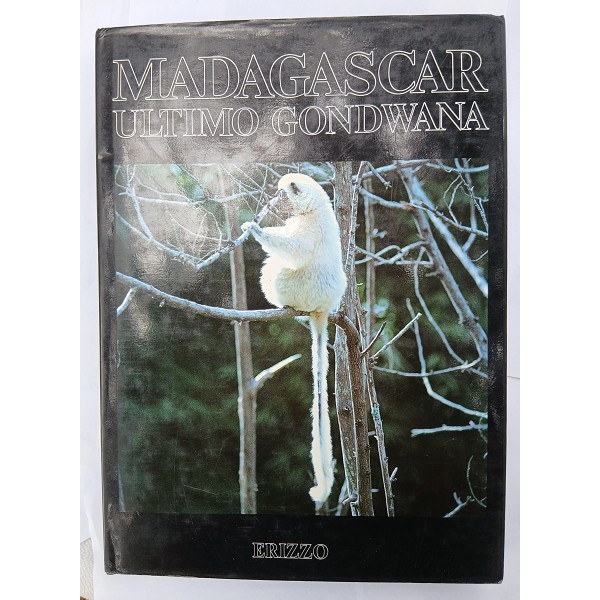 Madagascar ultimo Gondwana Madagascar ultimo Gondwana